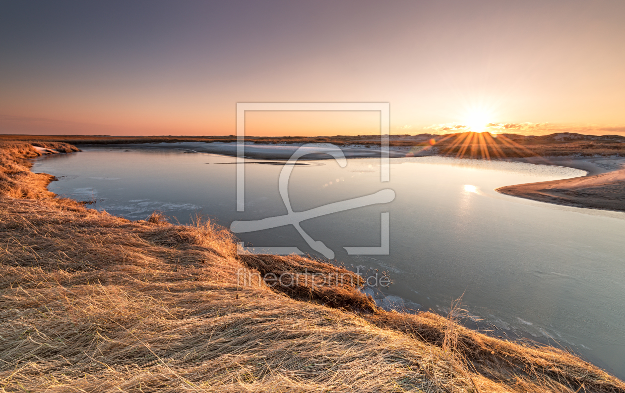 Bild-Nr.: 11701900 Salzwiesen St.Peter Ording erstellt von Nordbilder