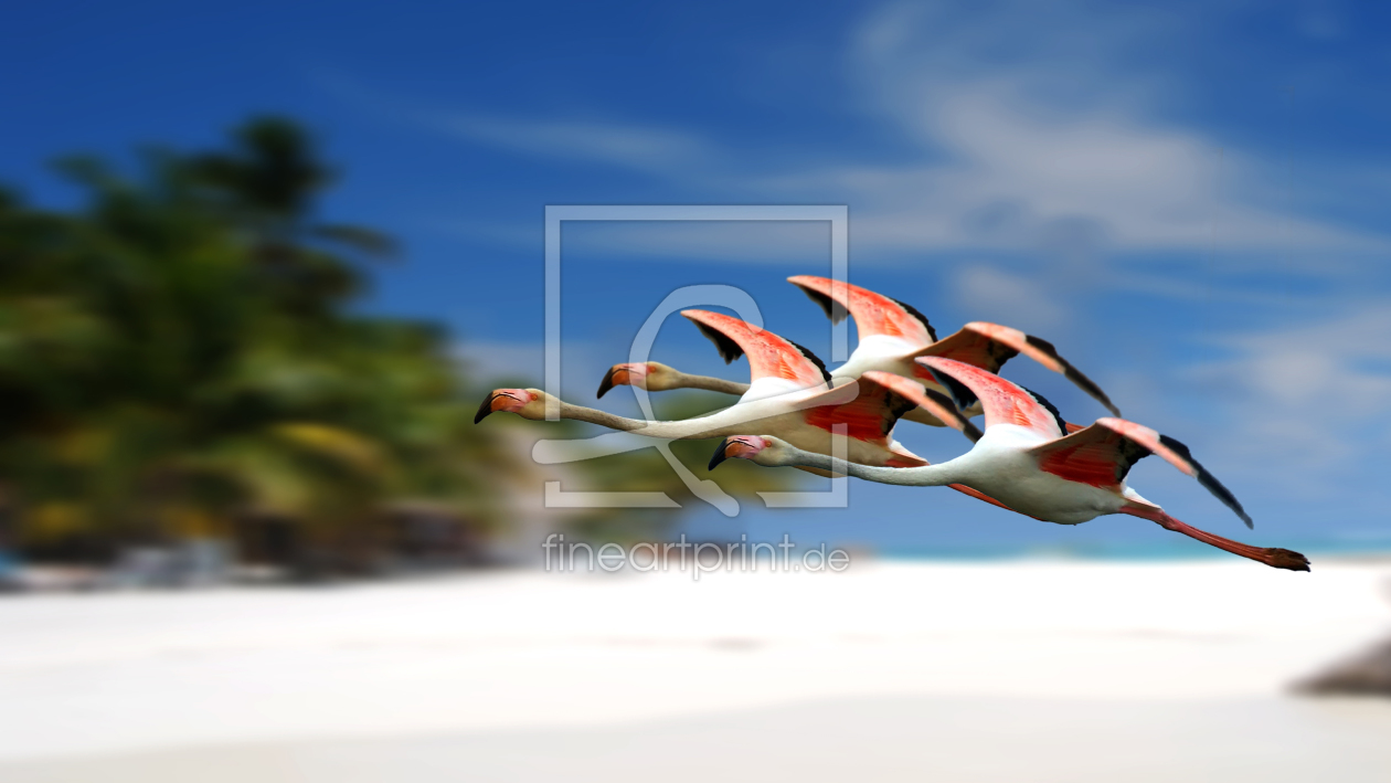 Bild-Nr.: 11705618 Flamingo erstellt von pixelklaus