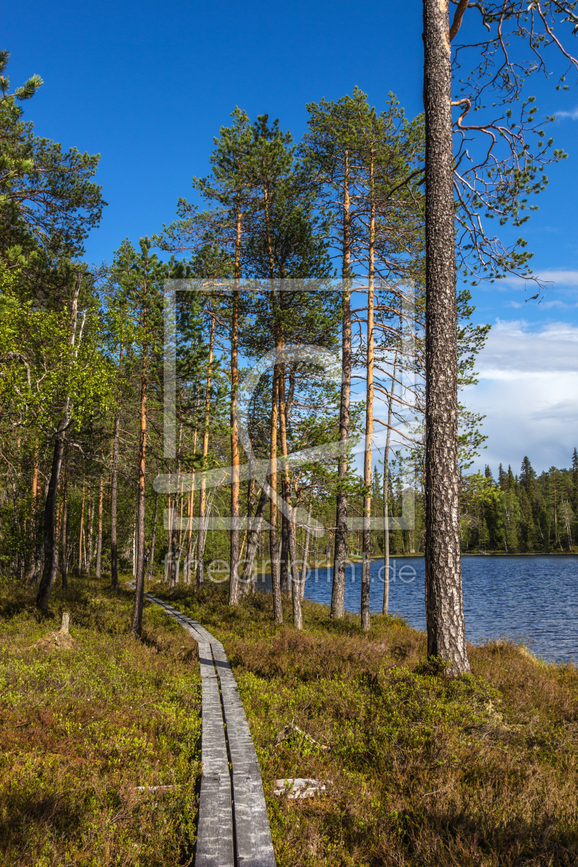 Bild-Nr.: 11705720 Pfad im Oulanka Nationalpark 3 erstellt von Anja Schäfer