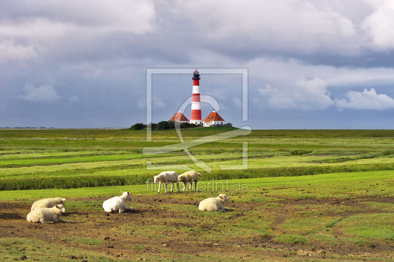 Bild-Nr.: 11706516 Westerhever Leuchtturm erstellt von Angela  Dölling