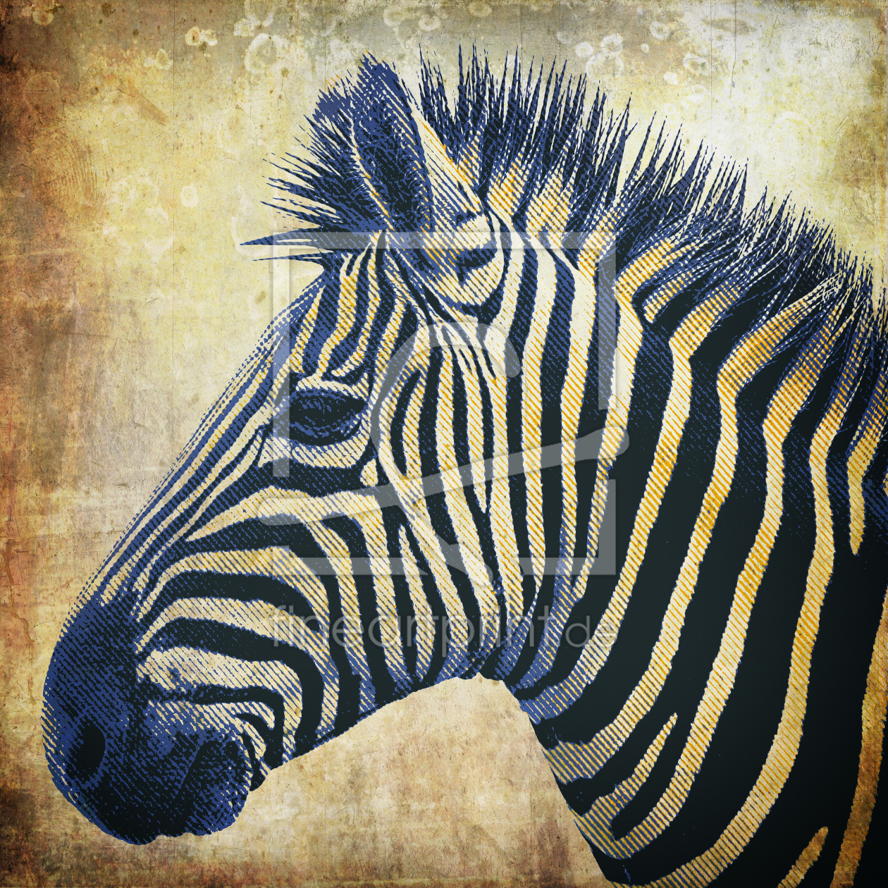 Bild-Nr.: 11707574 Zebra Portrait PopArt erstellt von Angela  Dölling