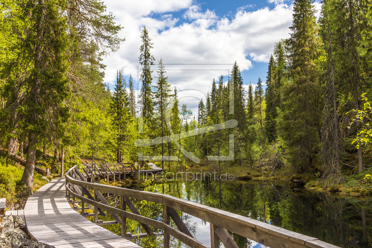 Bild-Nr.: 11709216 Wanderpfad im Pyhä-Luosto National Park - Finnland 3 erstellt von Anja Schäfer