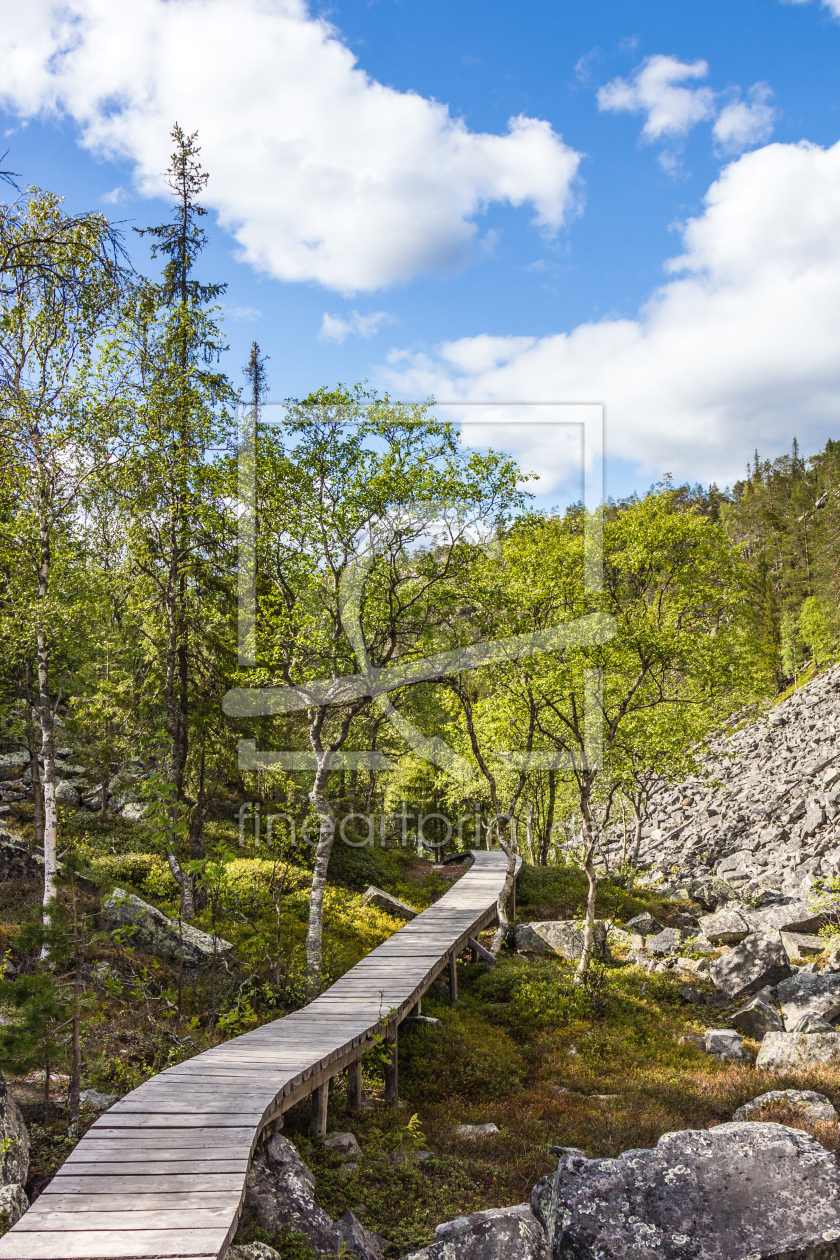 Bild-Nr.: 11709228 Wanderpfad im Pyhä-Luosto National Park - Finnland 8 erstellt von Anja Schäfer