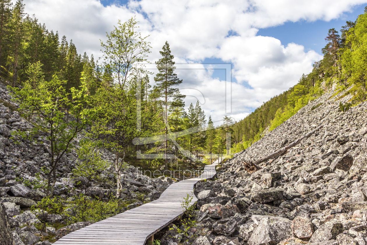 Bild-Nr.: 11709236 Wanderpfad im Pyhä-Luosto National Park - Finnland 5 erstellt von Anja Schäfer