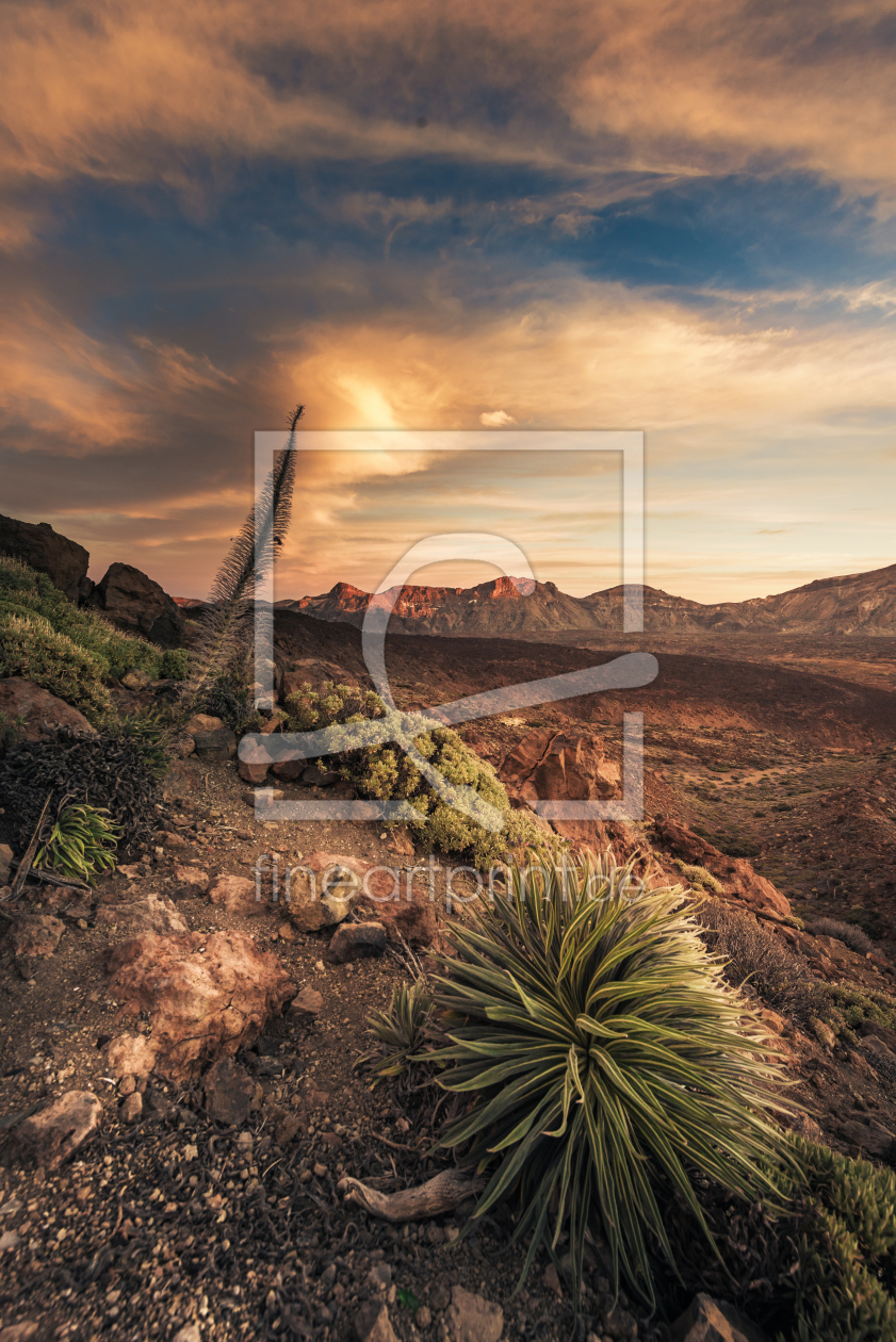 Bild-Nr.: 11709384 Teneriffa - Canadas del Teide erstellt von Jean Claude Castor