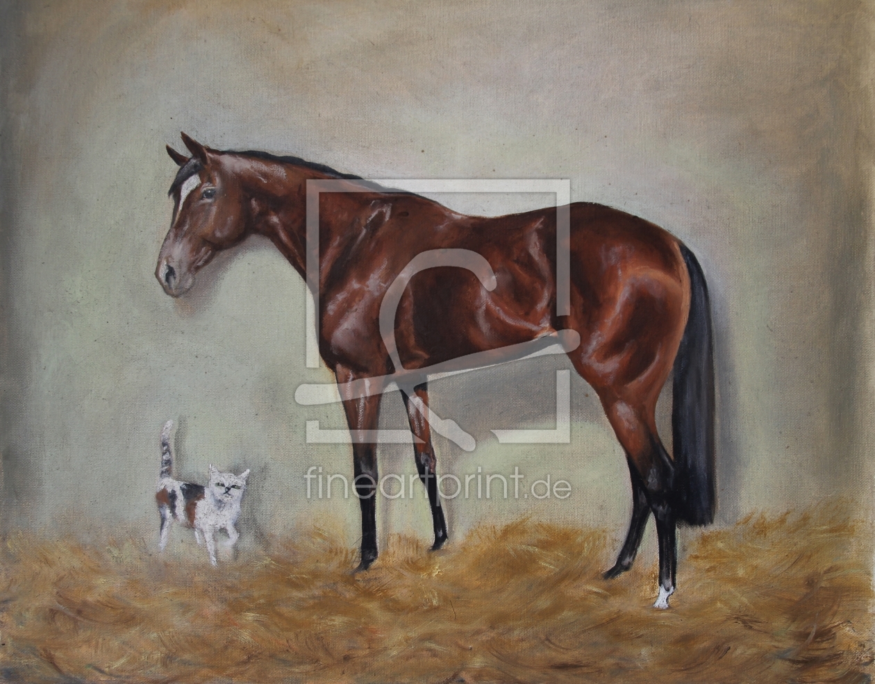 Bild-Nr.: 11709514 Pferd und Katze Bild-Nr.: 11709514 Pferd und Katze erstellt von IndiVirtuArt