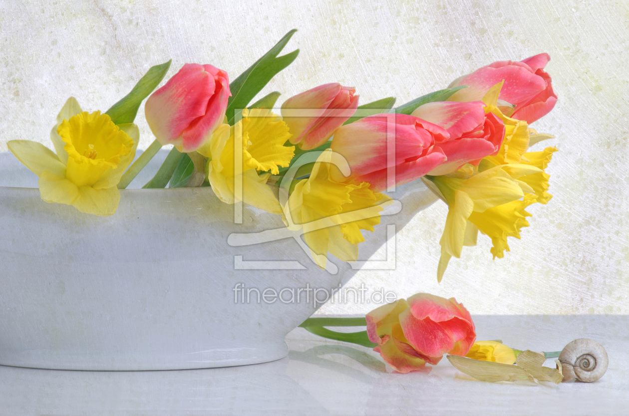 Bild-Nr.: 11709968 terrine de printemps 2 erstellt von Rolf Eschbach