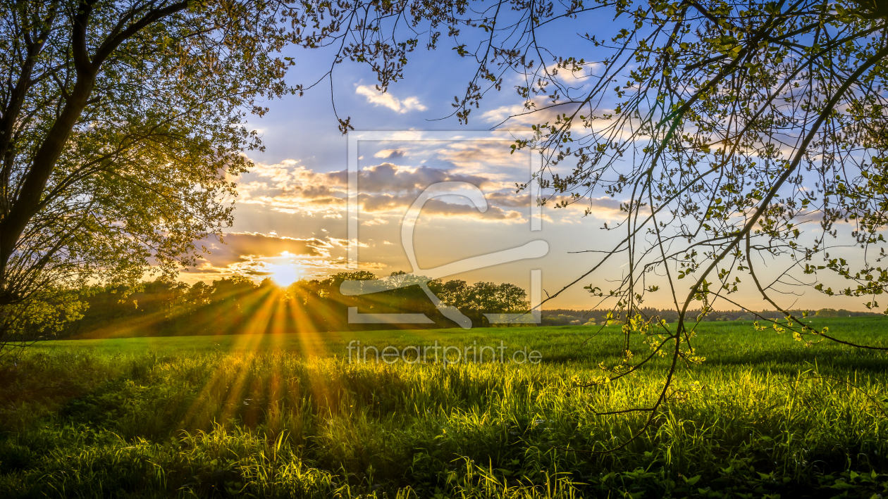 Bild-Nr.: 11711774 Blick aufs Feld erstellt von Bart-Achilles