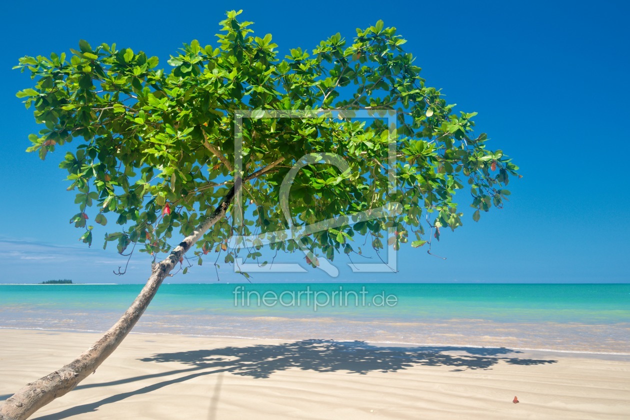 Bild-Nr.: 11714688 coconut beach erstellt von Norman Schülke