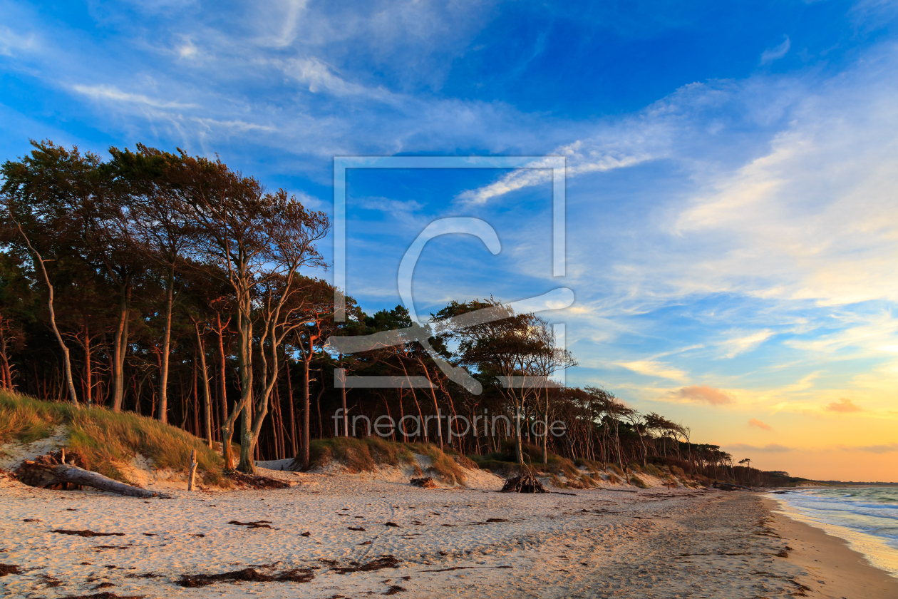 Bild-Nr.: 11714994 traumhafter Weststrand erstellt von Daniela Beyer