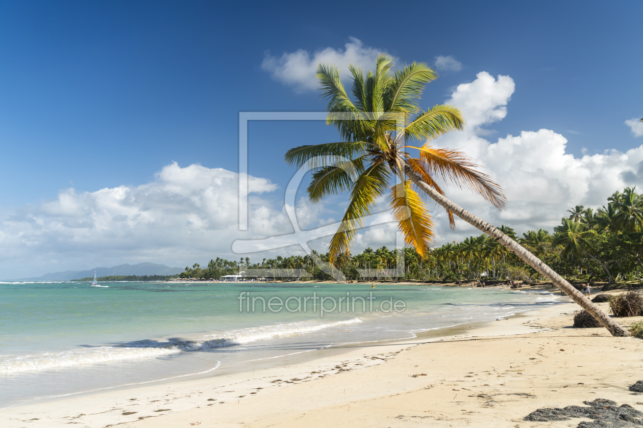 Bild-Nr.: 11717950 Traumstrand in der Karibik erstellt von reisefoto