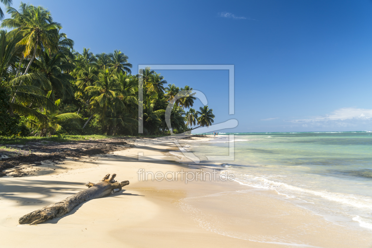 Bild-Nr.: 11717982 Traumstrand in der Karibik erstellt von reisefoto