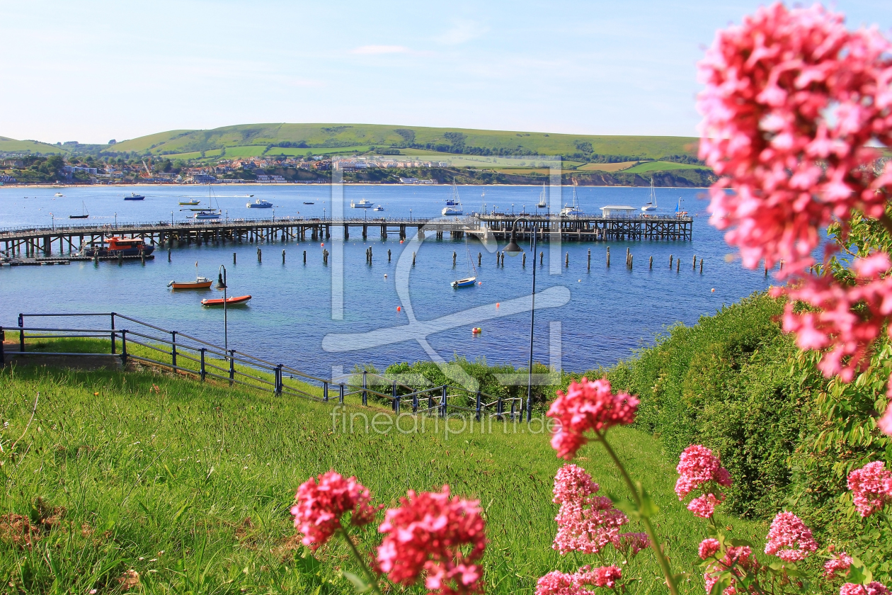 Bild-Nr.: 11719554 Swanage II erstellt von SusaZoom