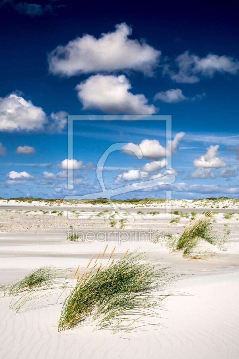 Bild-Nr.: 11721148 Nordseestrand Amrum erstellt von Reiner Würz