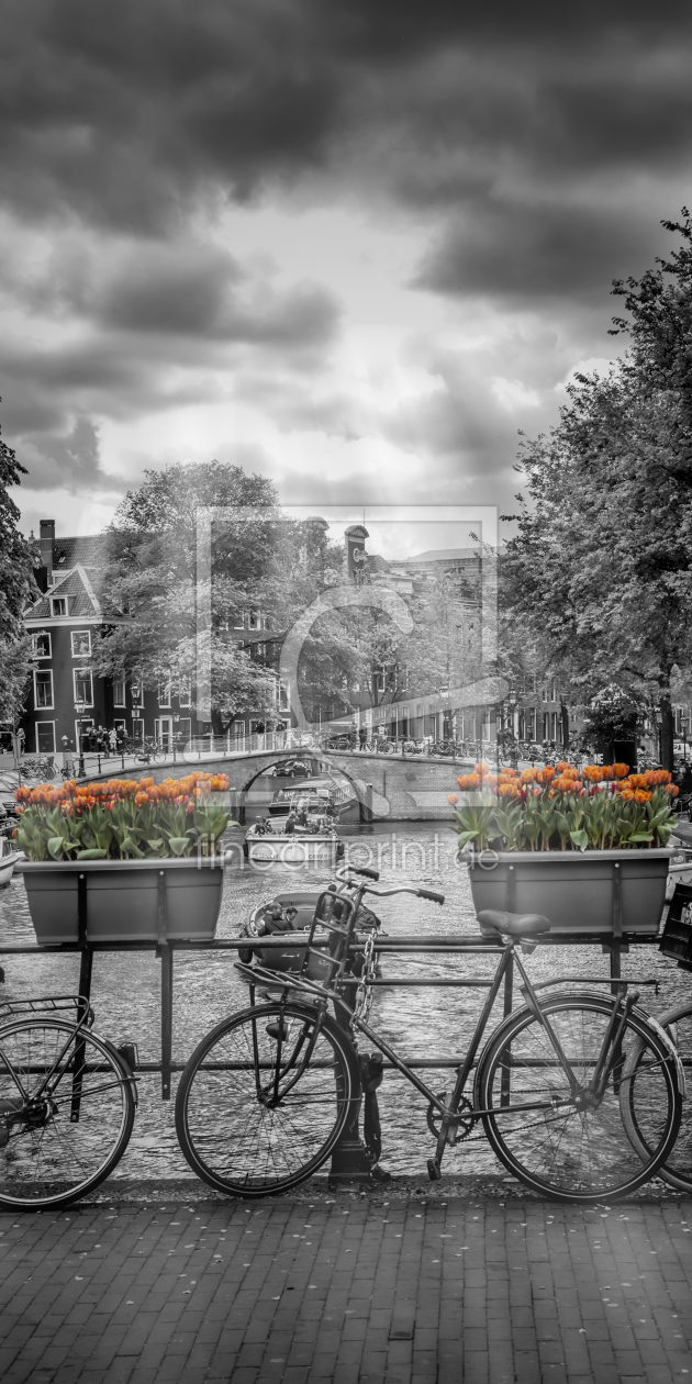 Bild-Nr.: 11722054 AMSTERDAM Herengracht | vertikales Panorama  erstellt von Melanie Viola