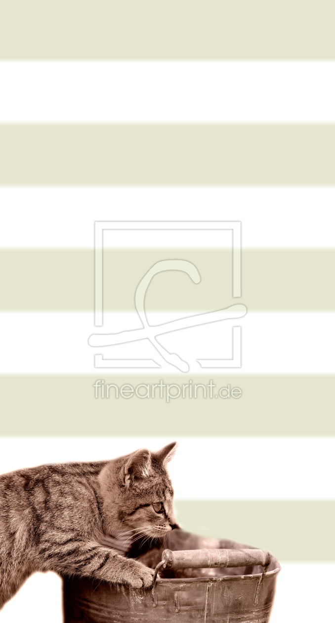 Bild-Nr.: 11723386 Katzen Spiel erstellt von Tanja Riedel