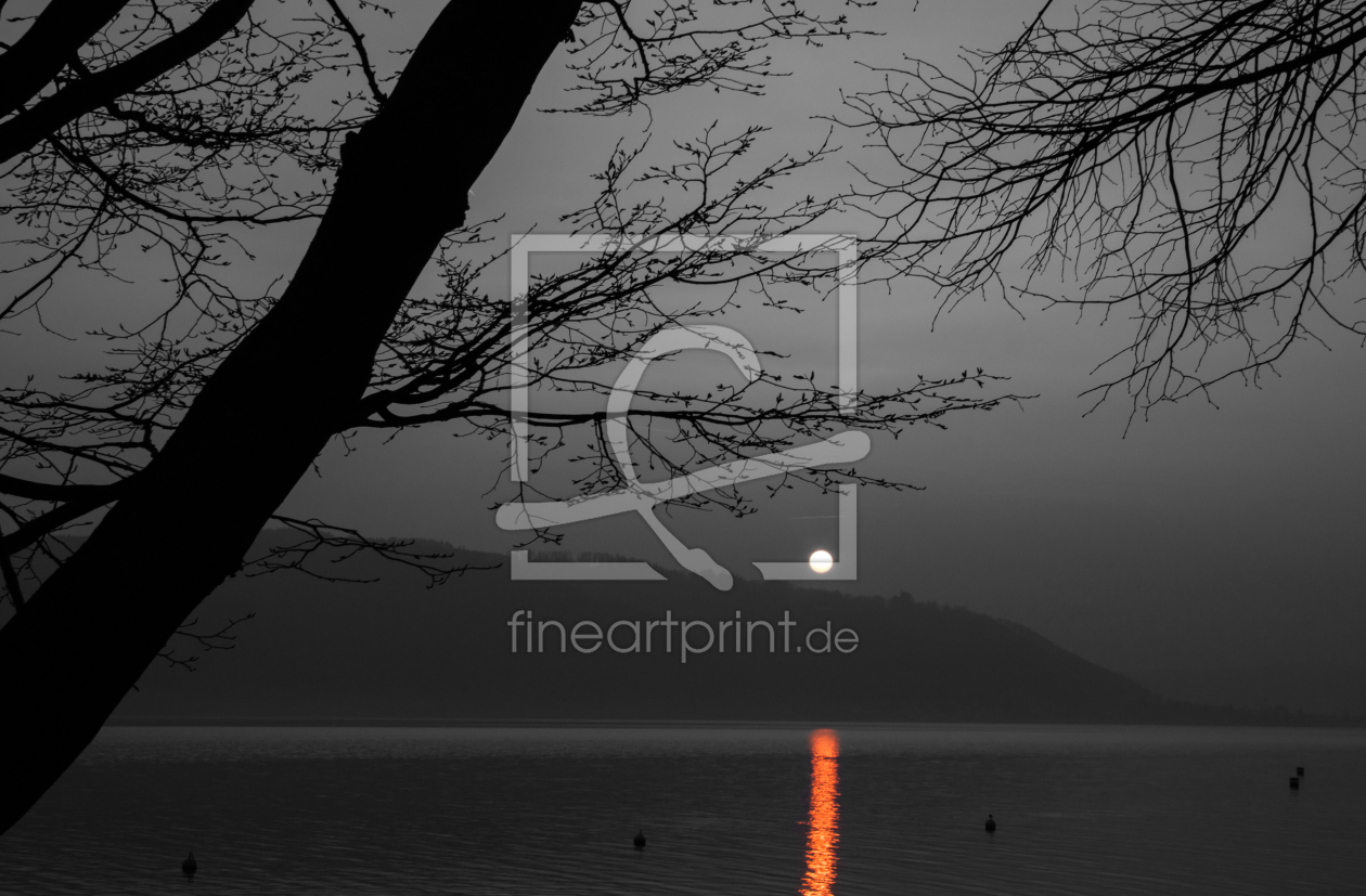 Bild-Nr.: 11723758 Sonnenspiegelung am Bodensee erstellt von IP-Photo-Art