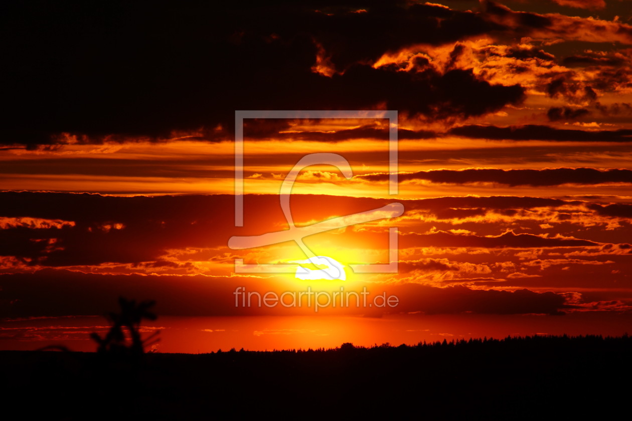 Bild-Nr.: 11726742 Sonnenuntergang erstellt von birdPIXX