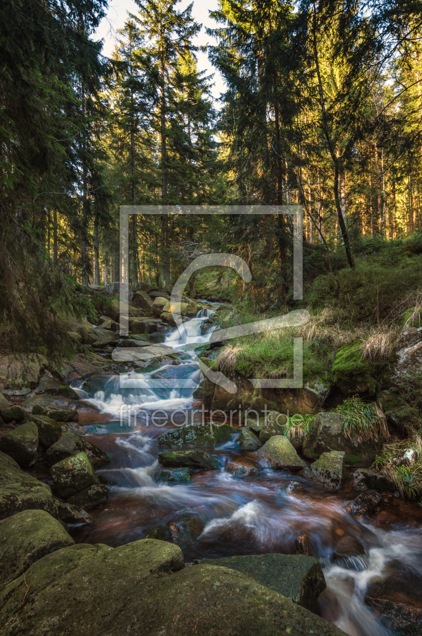 Bild-Nr.: 11727530 Wild Romantisch im Harz erstellt von Steffen Gierok