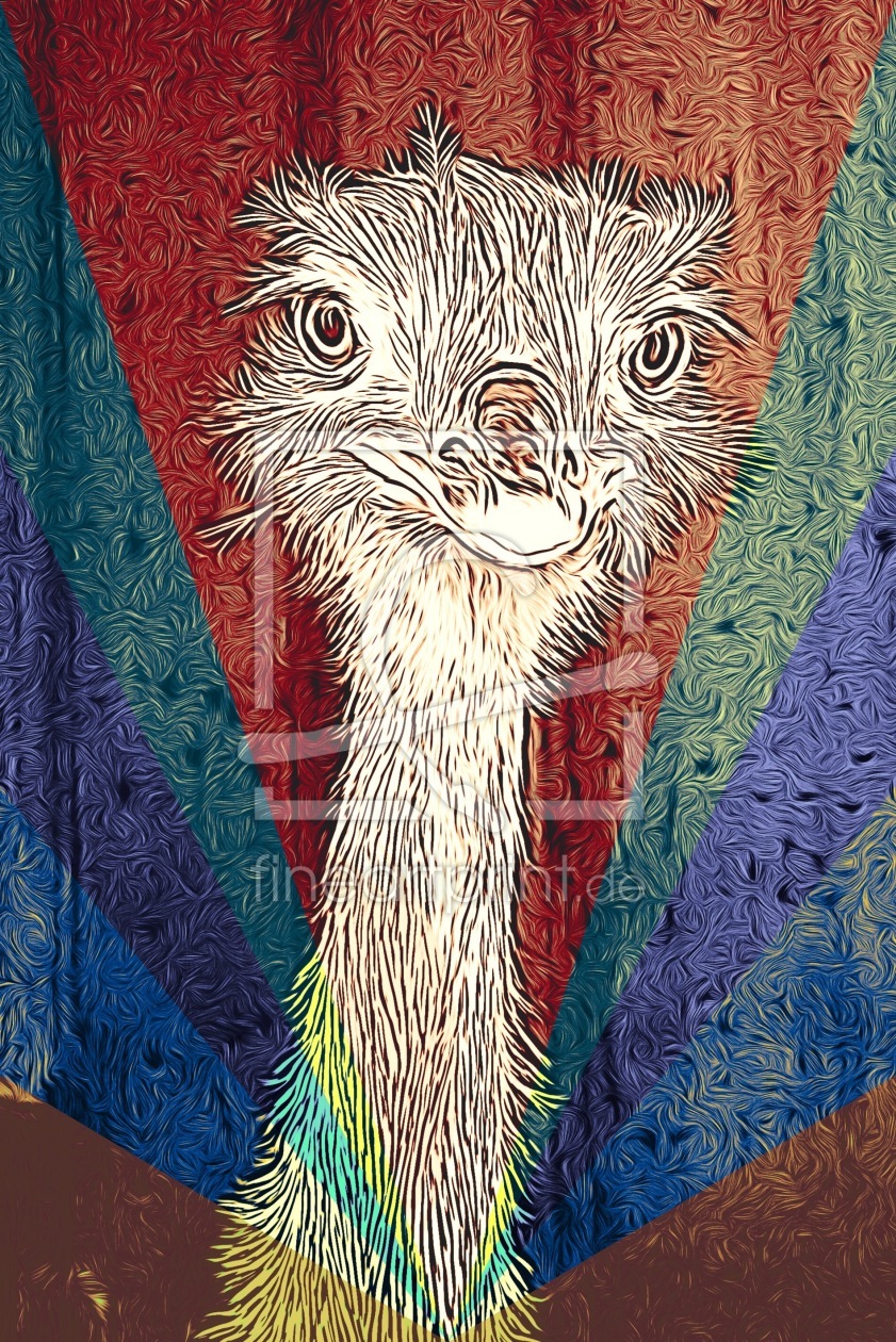 Bild-Nr.: 11727908 ostrich like fashion  erstellt von sandra kramer