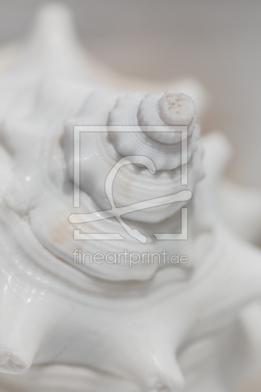 Bild-Nr.: 11728662 ganz in weiß erstellt von hgfotografie