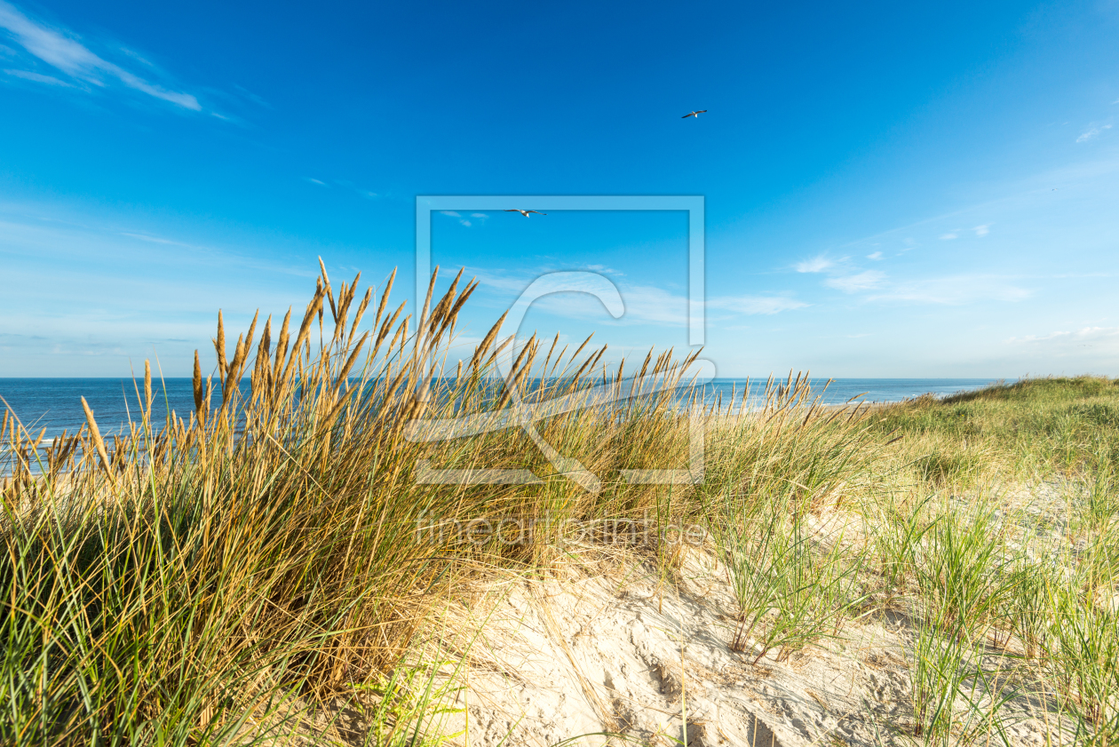 Bild-Nr.: 11728850 Strahlend blauer Tag erstellt von hannes cmarits