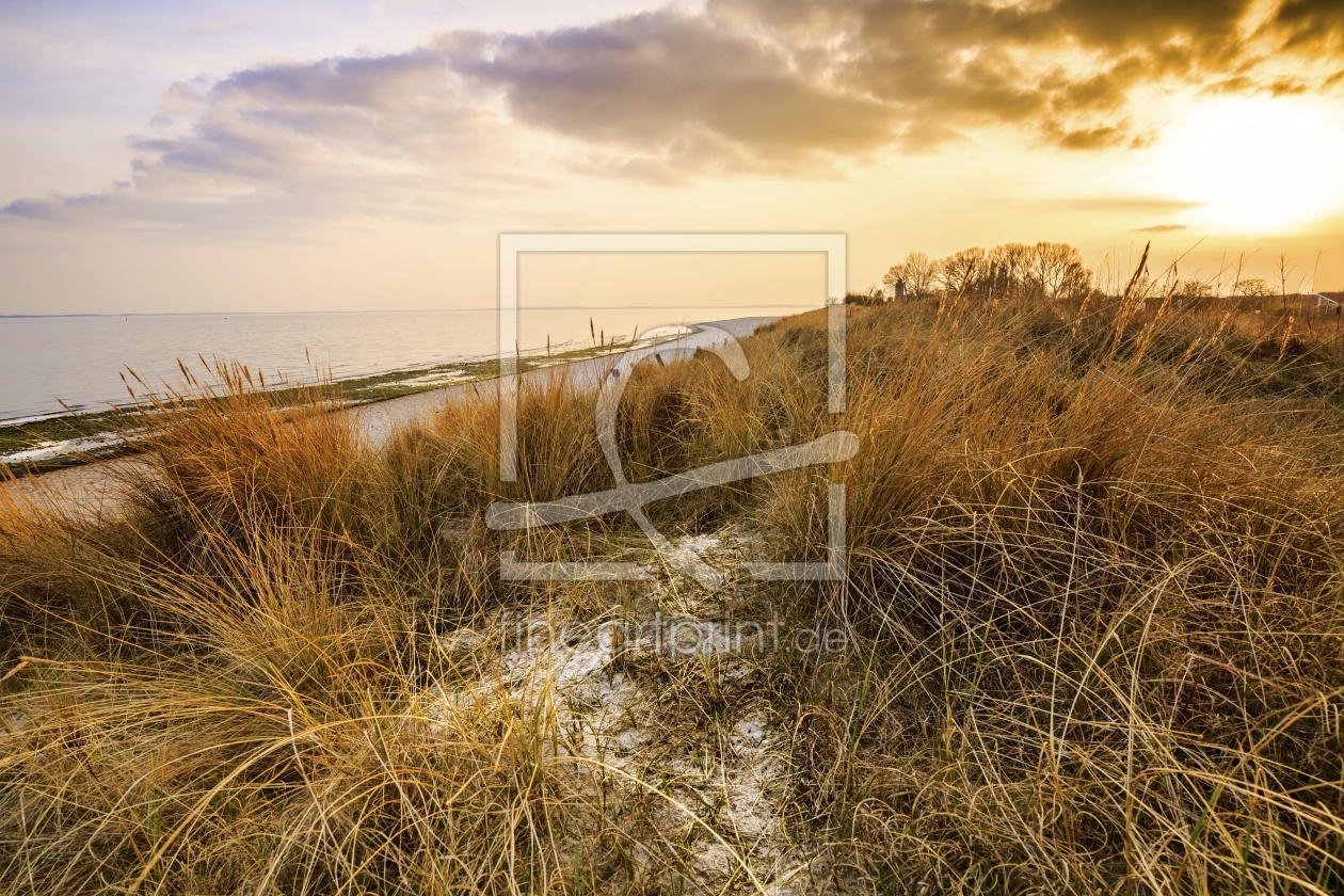 Bild-Nr.: 11729662 GOLDEN  BALTIC  SEA  COAST erstellt von Ursula Reins