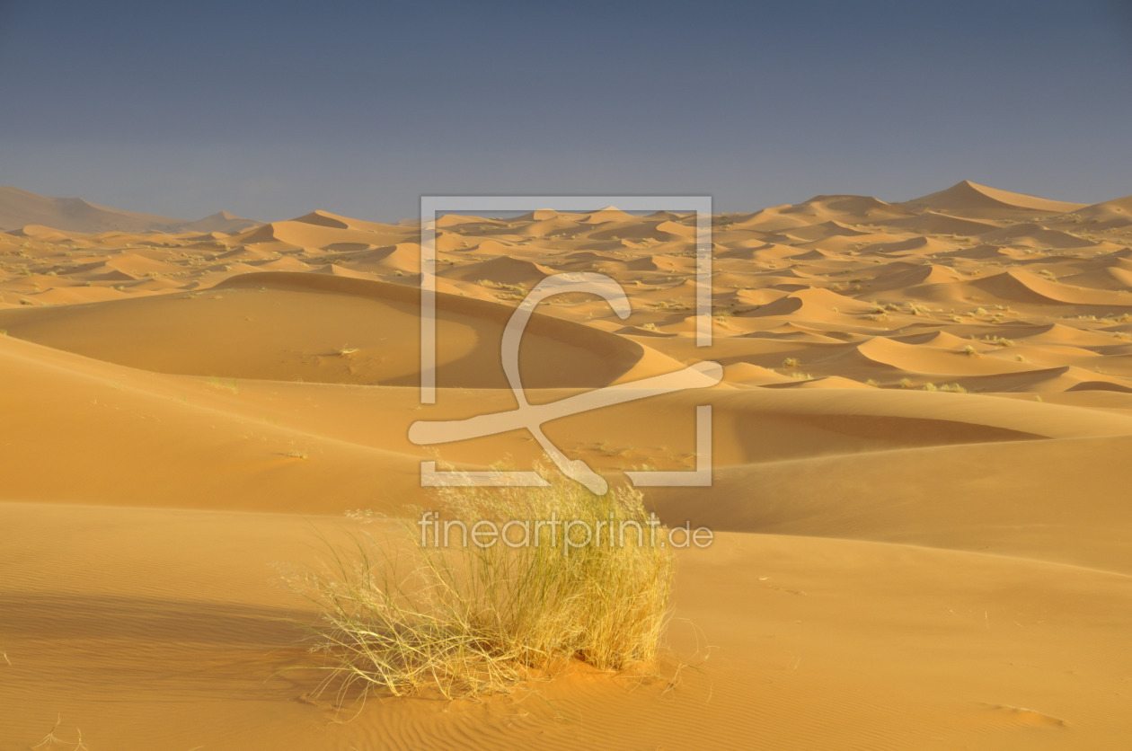 Bild-Nr.: 11730348 Sahara Bild-Nr.: 11730348 Sahara erstellt von Walter G. Allgöwer