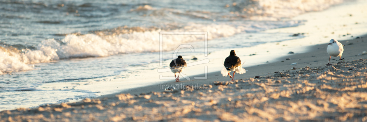 Bild-Nr.: 11730794 Spaziergang am Strand erstellt von Nordbilder