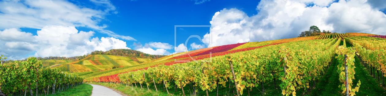 Bild-Nr.: 11731286 Panorama farbenfrohe Weinberge erstellt von MyFineArt68