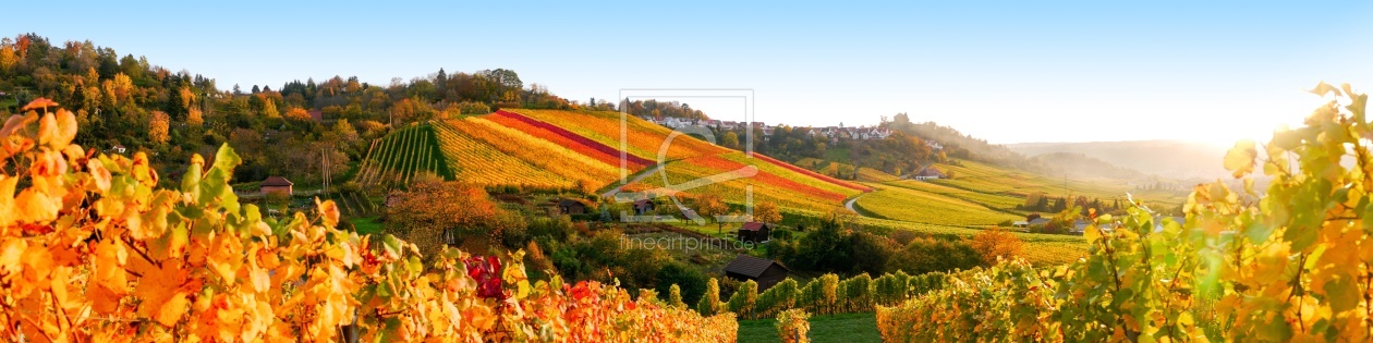 Bild-Nr.: 11731326 Panorama farbenfrohe Weinberge erstellt von MyFineArt68