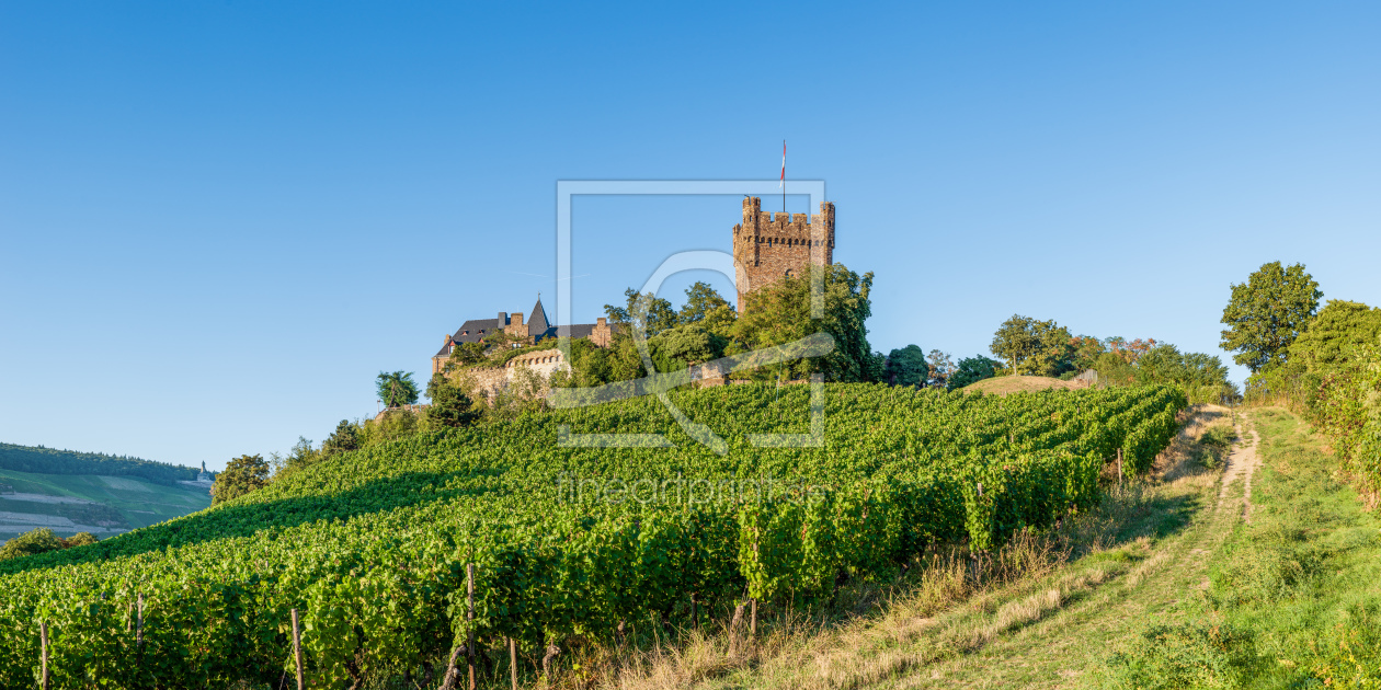 Bild-Nr.: 11732198 Burg Klopp 11n erstellt von Erhard Hess