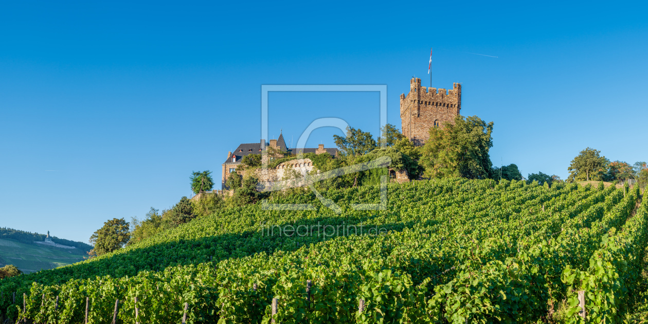 Bild-Nr.: 11733100 Burg Klopp 8n Bild-Nr.: 11733100 Burg Klopp 8n erstellt von Erhard Hess
