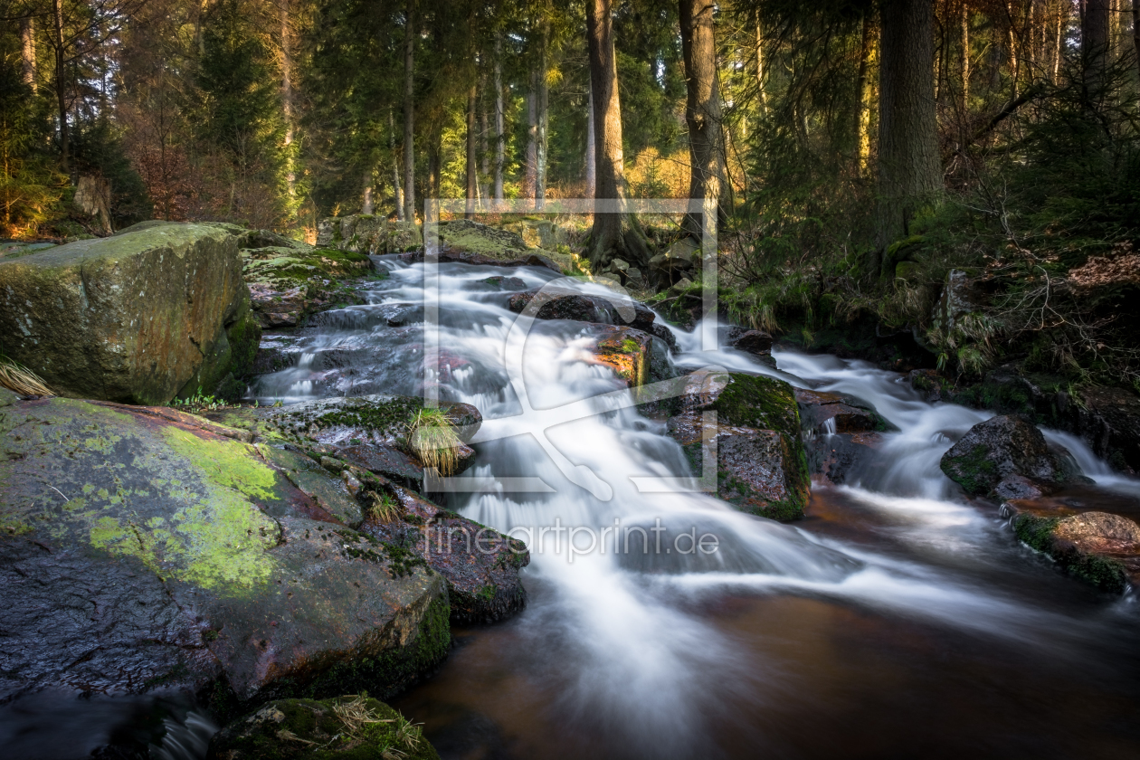 Bild-Nr.: 11736370 Der Fluss im Wald erstellt von Steffen Henze