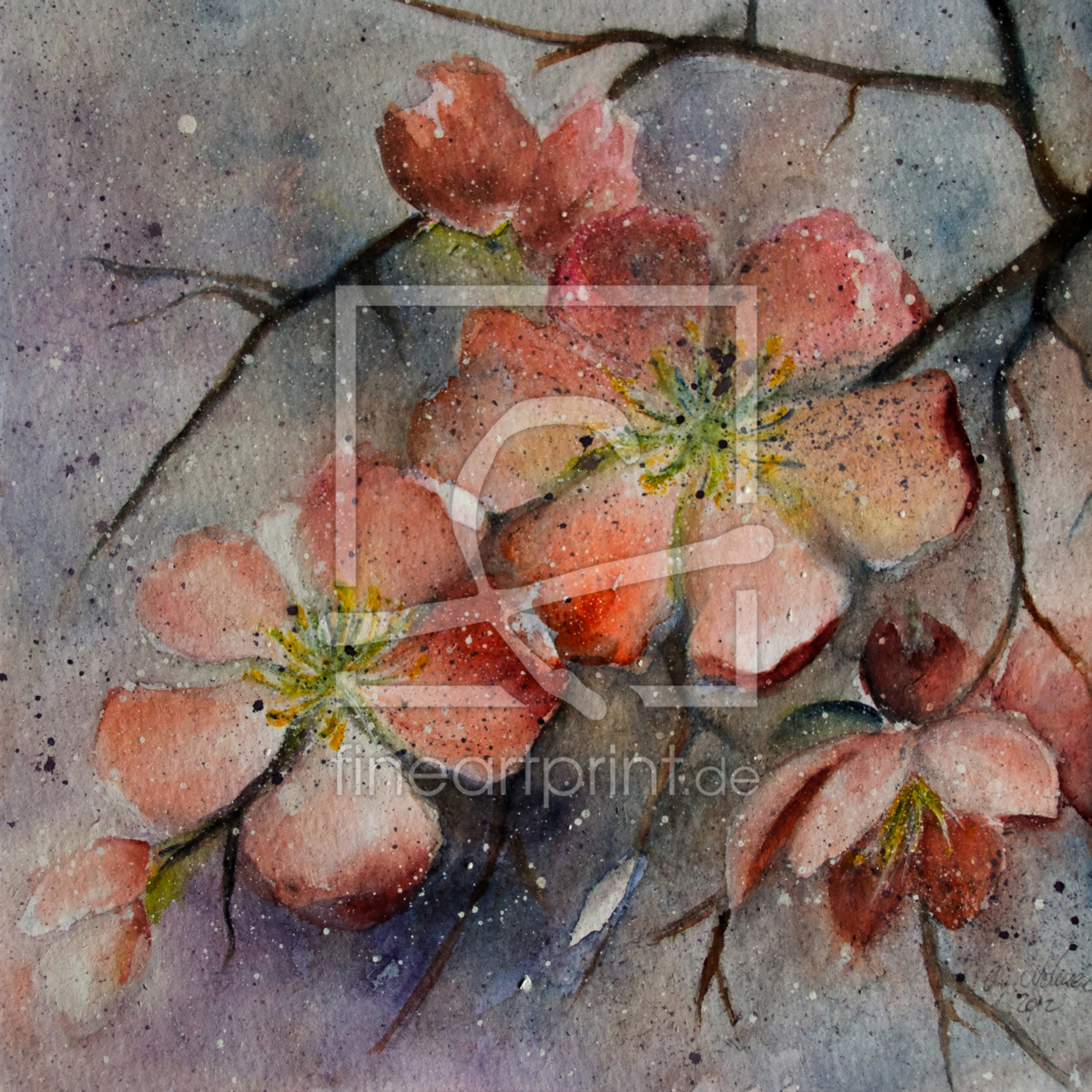Bild-Nr.: 11737132 Quittenblüte erstellt von ChrisArt