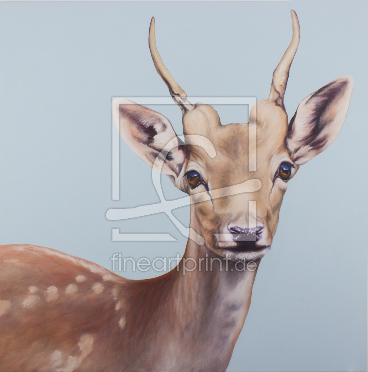 Bild-Nr.: 11739632 Hirsch Bild-Nr.: 11739632 Hirsch erstellt von Renate Berghaus