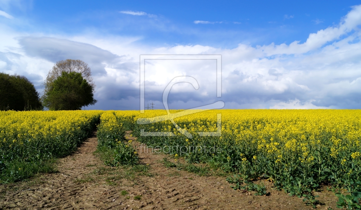 Bild-Nr.: 11741600 Landwirtschaft erstellt von MoNoir