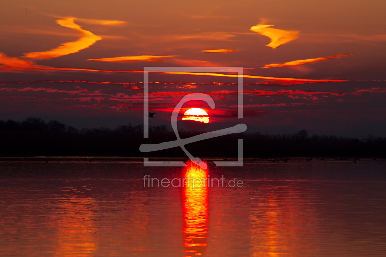 Bild-Nr.: 11743516 Sonnenuntergang goldene Stunde erstellt von Tonstudio-Thomas-Mollner