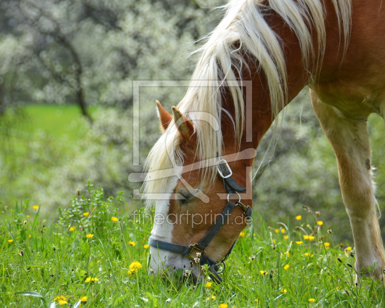 Bild-Nr.: 11743792 Den Frühling schmecken erstellt von GUGIGEI