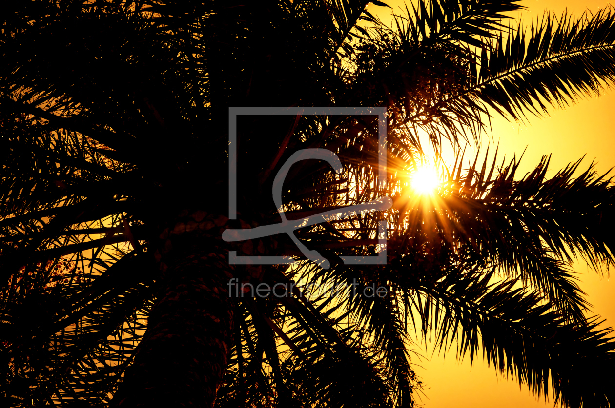 Bild-Nr.: 11745002 tropical sunset erstellt von spima