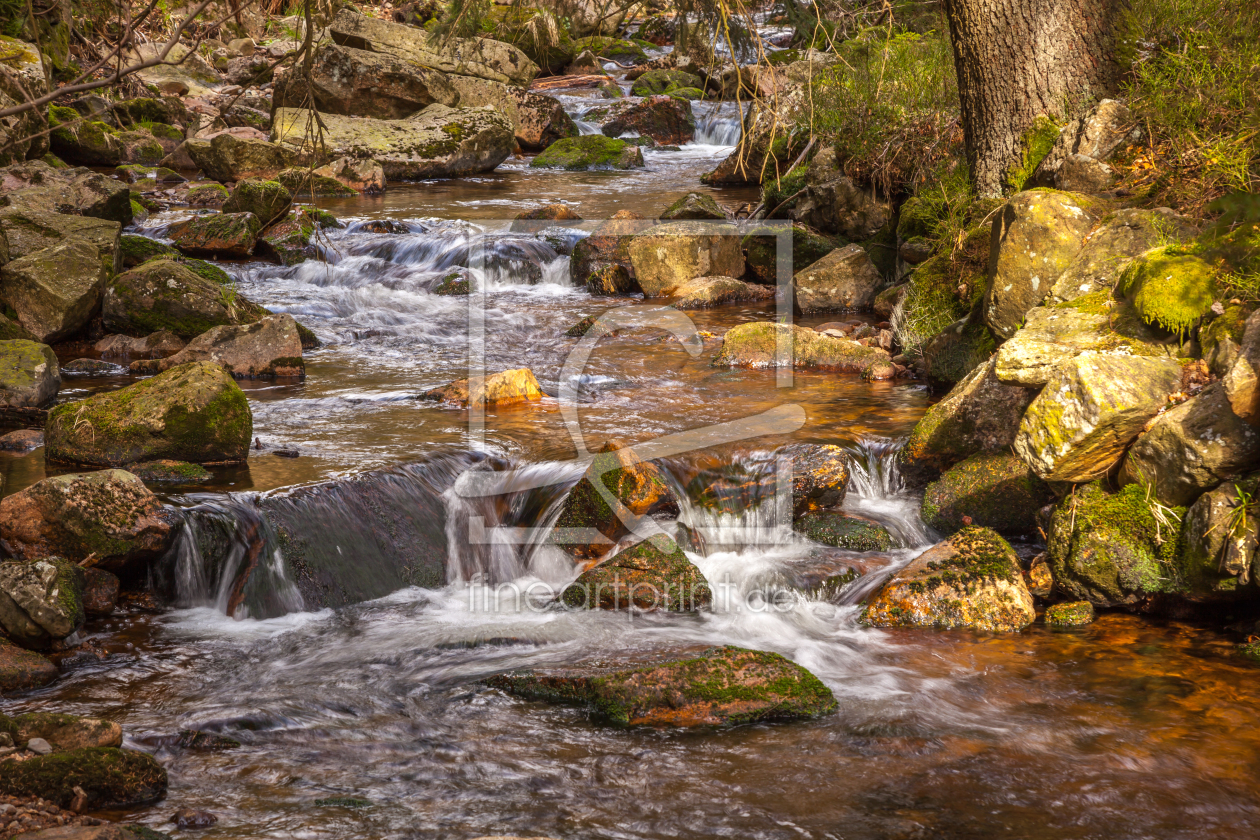 Bild-Nr.: 11745778 Nationalpark Harz erstellt von FotoDeHRO