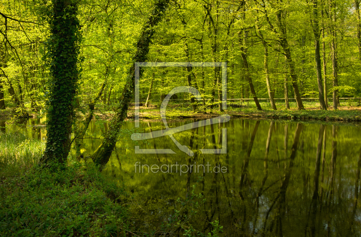 Bild-Nr.: 11746094 See im Wald erstellt von Tanja Riedel