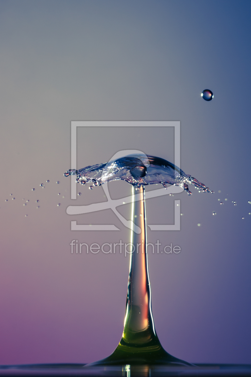 Bild-Nr.: 11747748 aqueous mushroom Bild-Nr.: 11747748 aqueous mushroom erstellt von Fadfinder