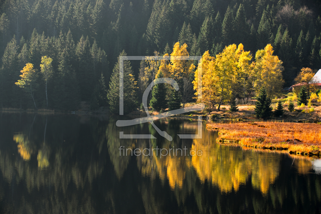 Bild-Nr.: 11749348 Arbersee - Schwimmende Inseln erstellt von ChrisArt