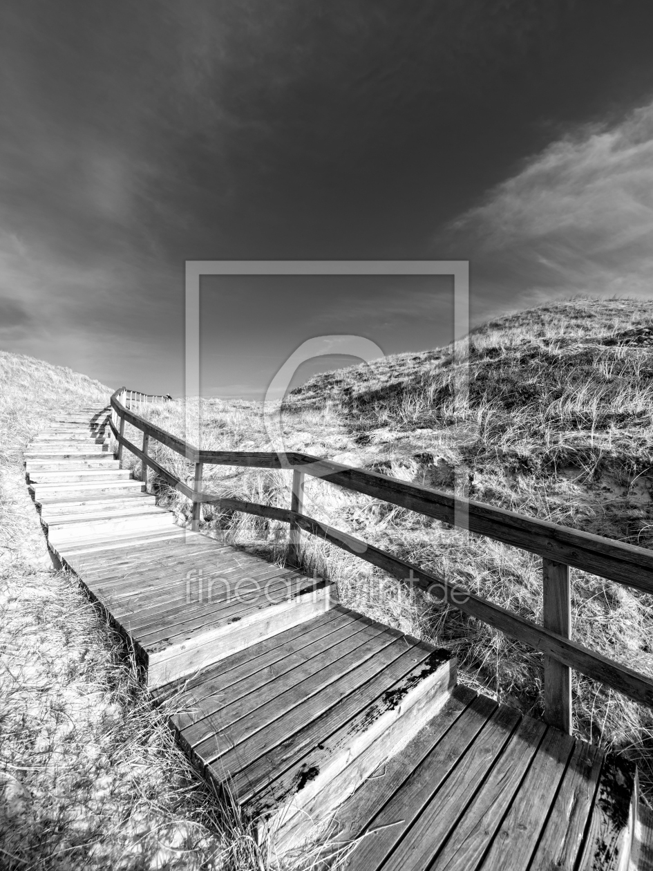 Bild-Nr.: 11751512 In den Dünen von Amrum erstellt von Michael Rechter