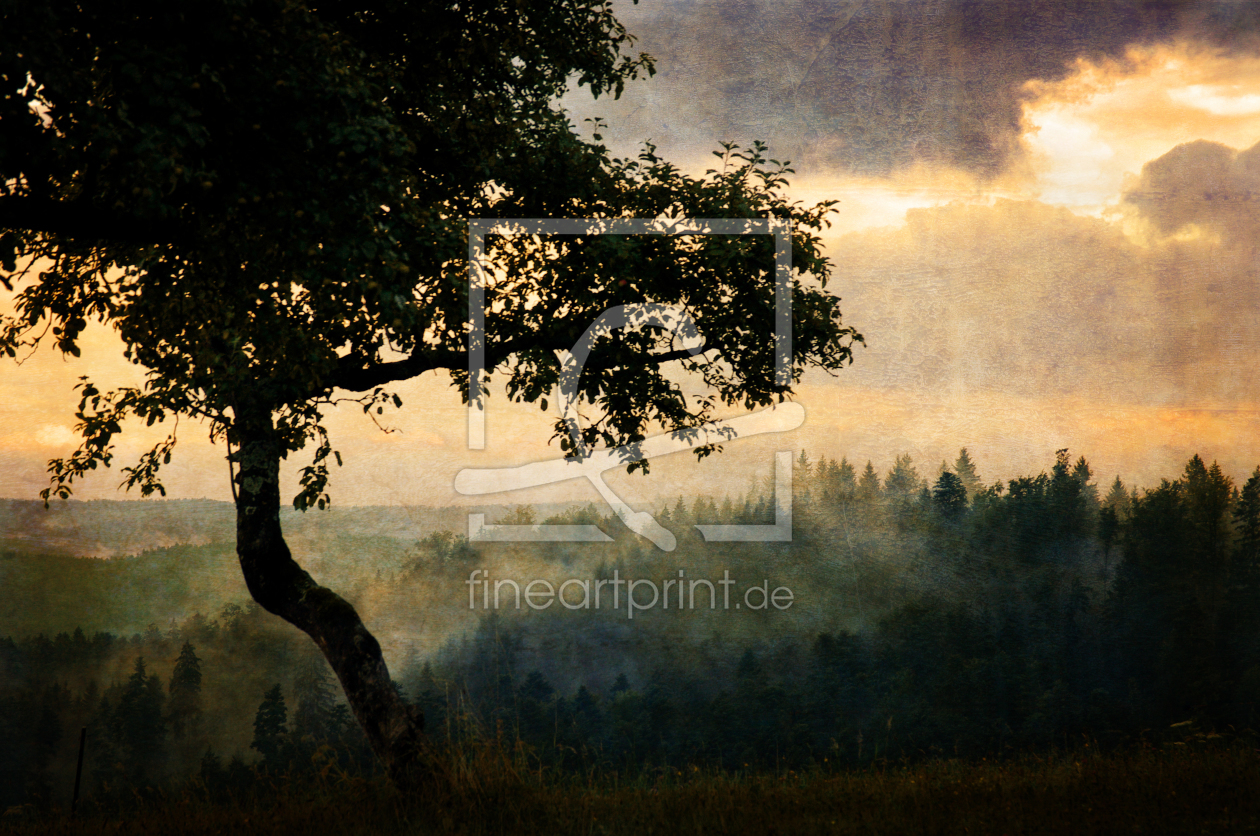 Bild-Nr.: 11752688 dämmerung - twilight Bild-Nr.: 11752688 dämmerung - twilight erstellt von augenWerk