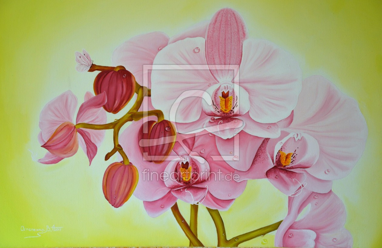 Bild-Nr.: 11752698 Orchidee erstellt von KundenNr-318576