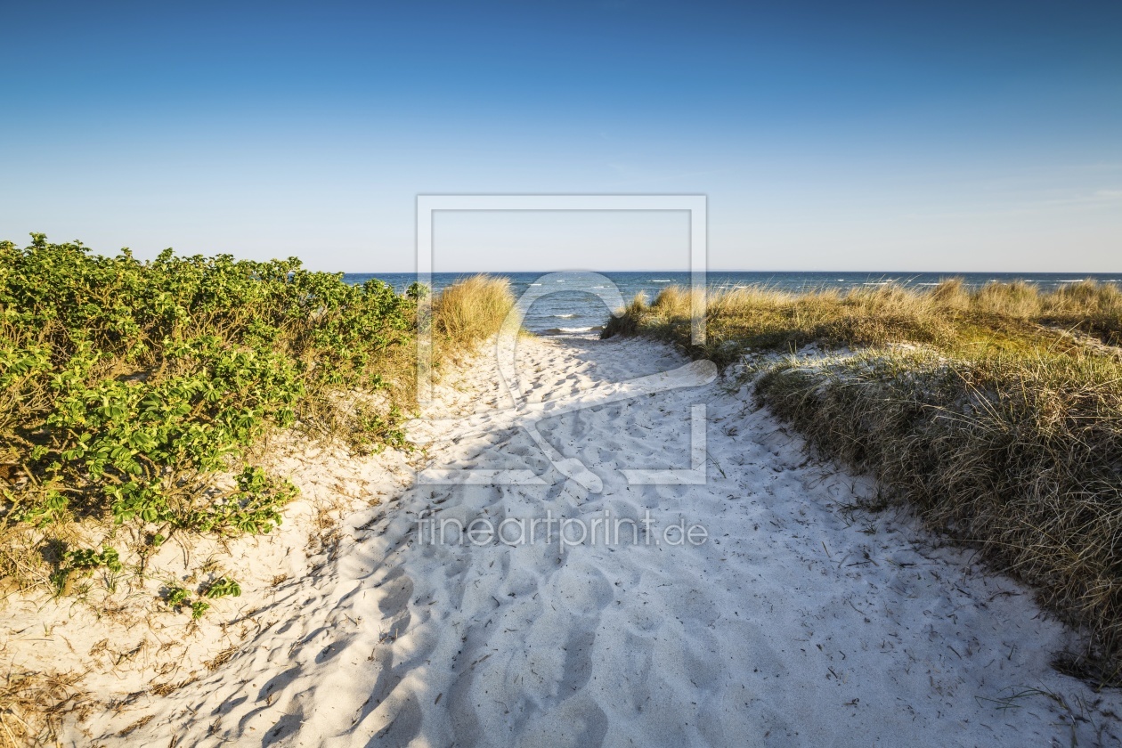 Bild-Nr.: 11753360 Ostsee - Strandweg erstellt von Ursula Reins