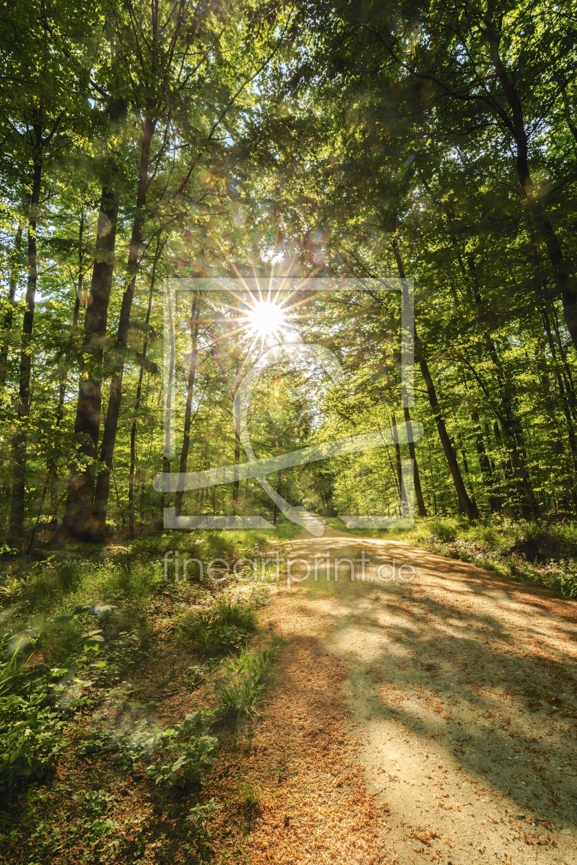 Bild-Nr.: 11753622 SONNENWEG erstellt von Ursula Reins