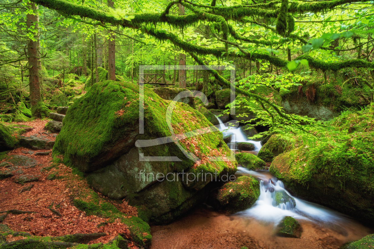 Bild-Nr.: 11753996 Gertelbach im Schwarzwald erstellt von Thomas Herzog